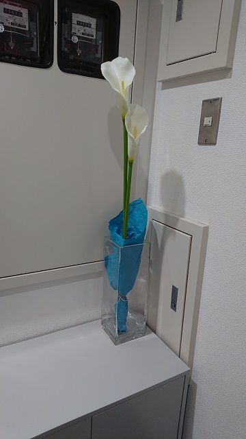 access4